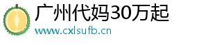 广州代妈30万起	